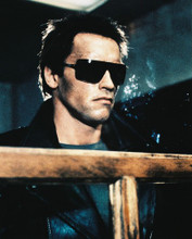 ARNOLD SCHWARZENEGGER PRINTS AND POSTERS 26692