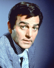 MIKE CONNORS MANNIX RARE HEAD SHOT PRINTS AND POSTERS 266885