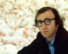 WOODY ALLEN WITH SHEEP PRINTS AND POSTERS 266656