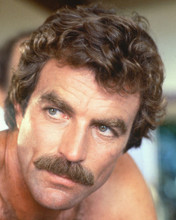 TOM SELLECK PRINTS AND POSTERS 266521