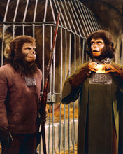 PLANET OF THE APES PRINTS AND POSTERS 266486