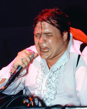 MEAT LOAF ON STAGE PRINTS AND POSTERS 266424