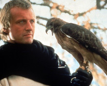 RUTGER HAUER PRINTS AND POSTERS 266376