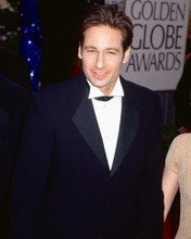 DAVID DUCHOVNY PRINTS AND POSTERS 266339