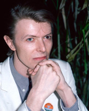 DAVID BOWIE PRINTS AND POSTERS 266278
