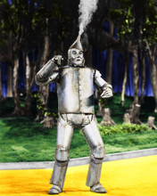THE WIZARD OF OZ JACK HALEY THE TIN MAN PRINTS AND POSTERS 266251