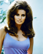 RAQUEL WELCH PRINTS AND POSTERS 266245