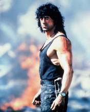 SYLVESTER STALLONE PRINTS AND POSTERS 266192