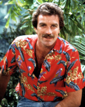 TOM SELLECK PRINTS AND POSTERS 266166