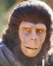 PLANET OF THE APES PRINTS AND POSTERS 266136
