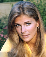 CANDICE BERGEN PRINTS AND POSTERS 265889