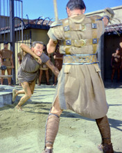 SPARTACUS PRINTS AND POSTERS 265717