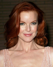 MARCIA CROSS PRINTS AND POSTERS 265216