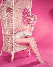 SHEREE NORTH PRINTS AND POSTERS 265114
