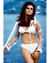 RAQUEL WELCH PRINTS AND POSTERS 264910