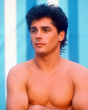 BILLY WARLOCK PRINTS AND POSTERS 264908