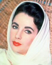 ELIZABETH TAYLOR STRIKING CLOSE UP 50' PRINTS AND POSTERS 264886