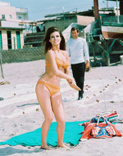 THE BIGGEST BUNDLE OF THEM ALL RAQUEL WELCH PRINTS AND POSTERS 264727