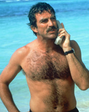 MAGNUM P.I. TOM SELLECK BARECHESTED PRINTS AND POSTERS 264629