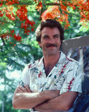 MAGNUM P.I. TOM SELLECK ARMS FOLDED PRINTS AND POSTERS 264627