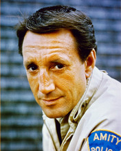 JAWS ROY SCHEIDER PRINTS AND POSTERS 264614