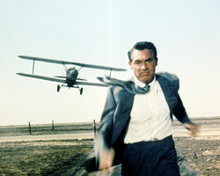 CARY GRANT NORTH BY NORTHWEST PLANE PRINTS AND POSTERS 264359