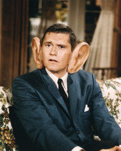 DICK YORK BEWITCHED WITH BIG EARS PRINTS AND POSTERS 264165