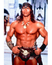 ARNOLD SCHWARZENEGGER BARECHESTED AS CONAN PRINTS AND POSTERS 264131