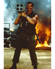 ARNOLD SCHWARZENEGGER PRINTS AND POSTERS 264130