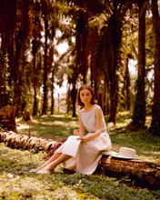 AUDREY HEPBURN FULL LENGTH IN FORREST PRINTS AND POSTERS 264035