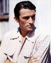 GREGORY PECK PRINTS AND POSTERS 263812