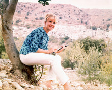 HAYLEY MILLS PRINTS AND POSTERS 263795