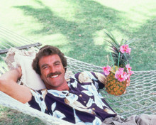 TOM SELLECK PRINTS AND POSTERS 263688