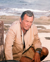 DAVID JANSSEN HARRY O RARE POSE BEACH PRINTS AND POSTERS 263661