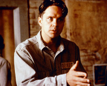 THE SHAWSHANK REDEMPTION TIM ROBBINS PRINTS AND POSTERS 263158