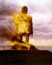THE WICKER MAN PRINTS AND POSTERS 263147