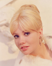 HAYLEY MILLS PRINTS AND POSTERS 262832