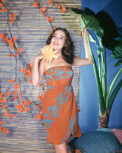 DOROTHY LAMOUR PRINTS AND POSTERS 262798