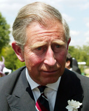 PRINCE CHARLES PRINTS AND POSTERS 262721