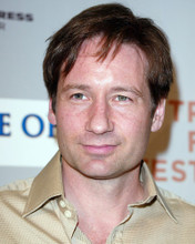DAVID DUCHOVNY CANDID PRINTS AND POSTERS 262167