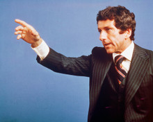 PETROCELLI BARRY NEWMAN GESTURES PRINTS AND POSTERS 261585