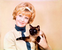 HAYLEY MILLS PRINTS AND POSTERS 261568