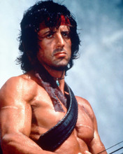 SYLVESTER STALLONE PRINTS AND POSTERS 261410