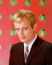 DAVID MCCALLUM THE MAN FROM U.N.C.L.E. PRINTS AND POSTERS 261291
