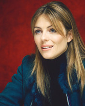 ELIZABETH HURLEY PRINTS AND POSTERS 261242
