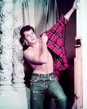 Tony Curtis Posters and Photos 261152 | Movie Store