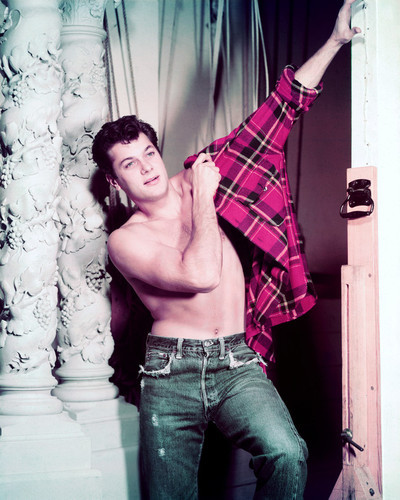 ミスターT.H.C&TONY CURTIS / HIGH GRADE 美品 Tony Curtis Posters and Photos 261152 | Movie Store