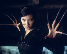 KELLY HU PRINTS AND POSTERS 260065