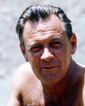 WILLIAM HOLDEN HUNKY BARE CHESTED PRINTS AND POSTERS 260056
