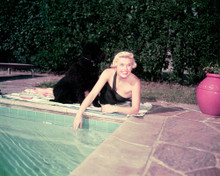 DORIS DAY SMILING BY POOL 50'S PRINTS AND POSTERS 259943
